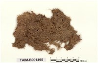 藏品(中位泥炭苔)的圖片